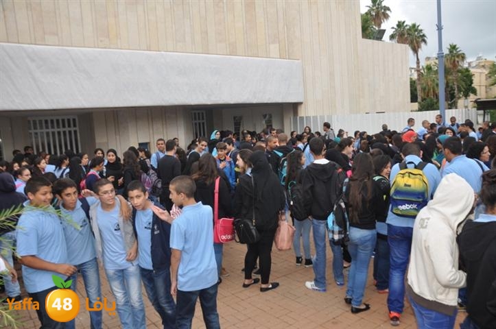 joboa shamela (25).JPG